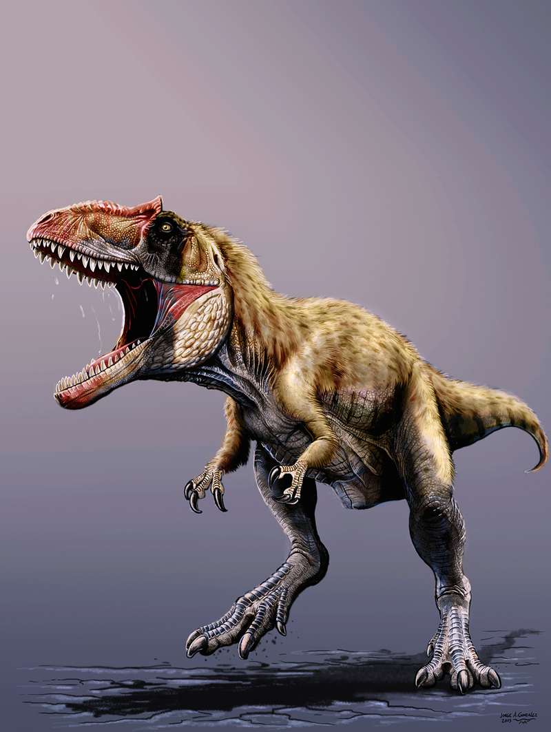 Illustration for article titled Descubren un colosal dinosaurio que compitió con el Tyrannosaurus Rex